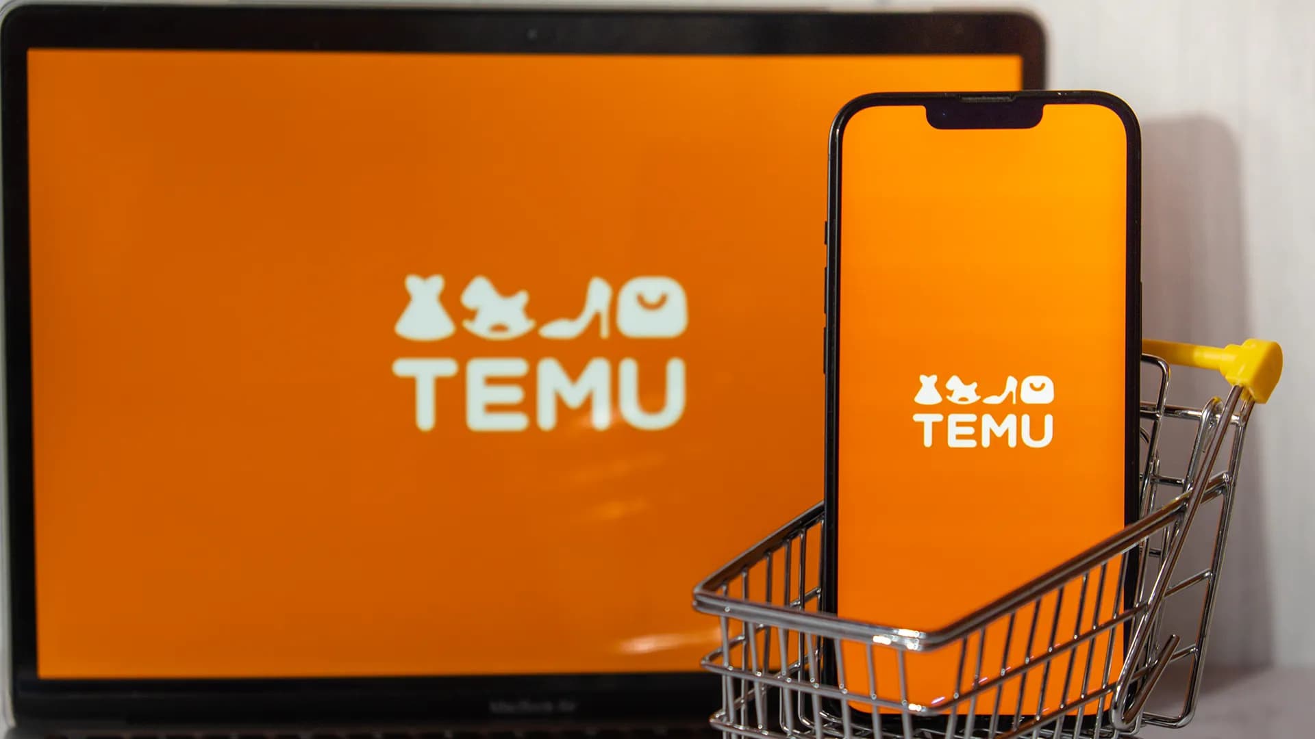 Temun kuljetuspalveluiden toimintamalli ja läpinäkyvyys